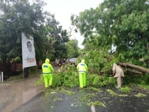 Kapolres Nganjuk Apresiasi Penanganan Cepat Pohon Tumbang di Rejoso