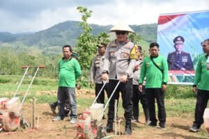 Polres Bondowoso Polda Jawa Timur bersama Kodim 0822/Bondowoso memanfaatkan lahan-lahan kritis untuk ditanami jagung.