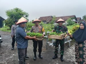 Gelorakan Swasembada Pangan Polisi Serahkan Bibit Tanaman di Tambak Kalisogo Sidoarjo