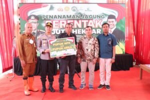 Komitmen Dukung Swasembada Pangan, Polres Gresik Tanam Jagung di Panceng