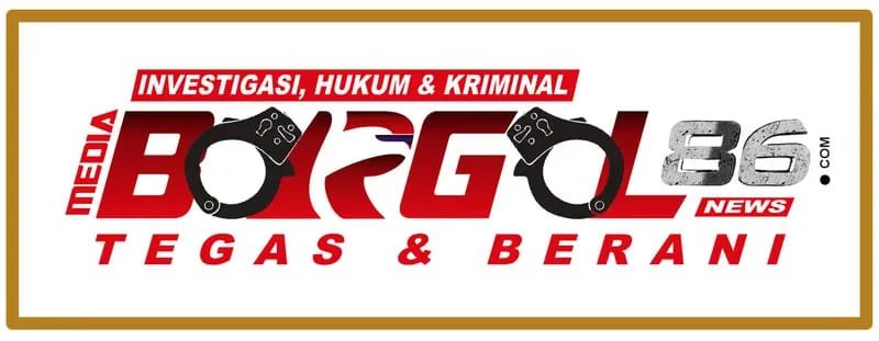borgolnews86